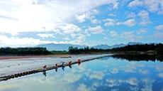 浙江仙居:夏日戲水