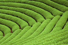 生態(tài)環(huán)境保護(hù)