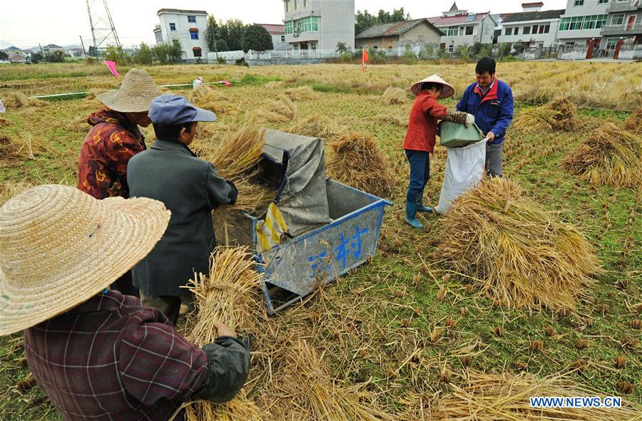 CHINA-ZHEJIANG-RURAL INCOMES (CN)