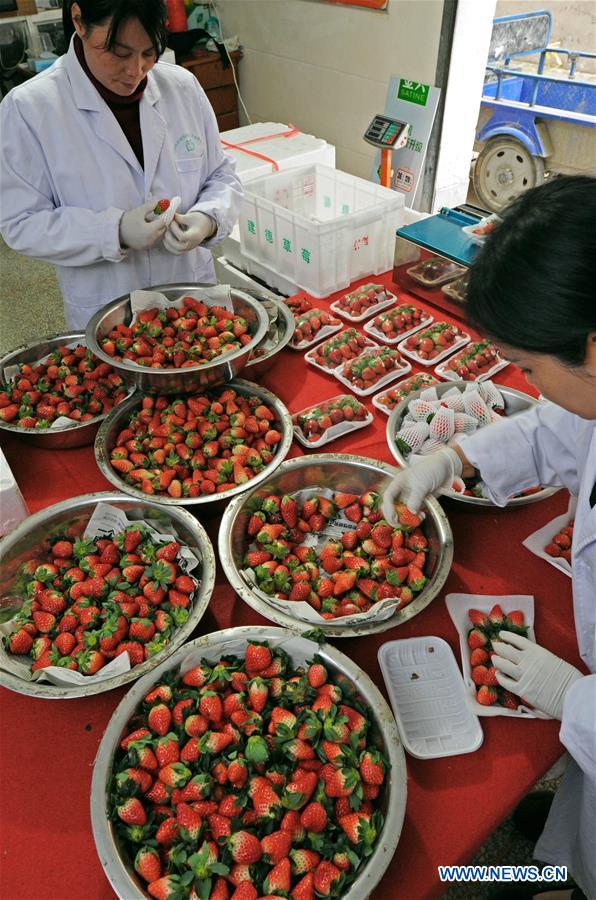 CHINA-ZHEJIANG-RURAL INCOMES (CN)