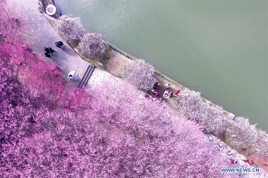 XINHUA PHOTO WEEKLY CHOICES (CN)