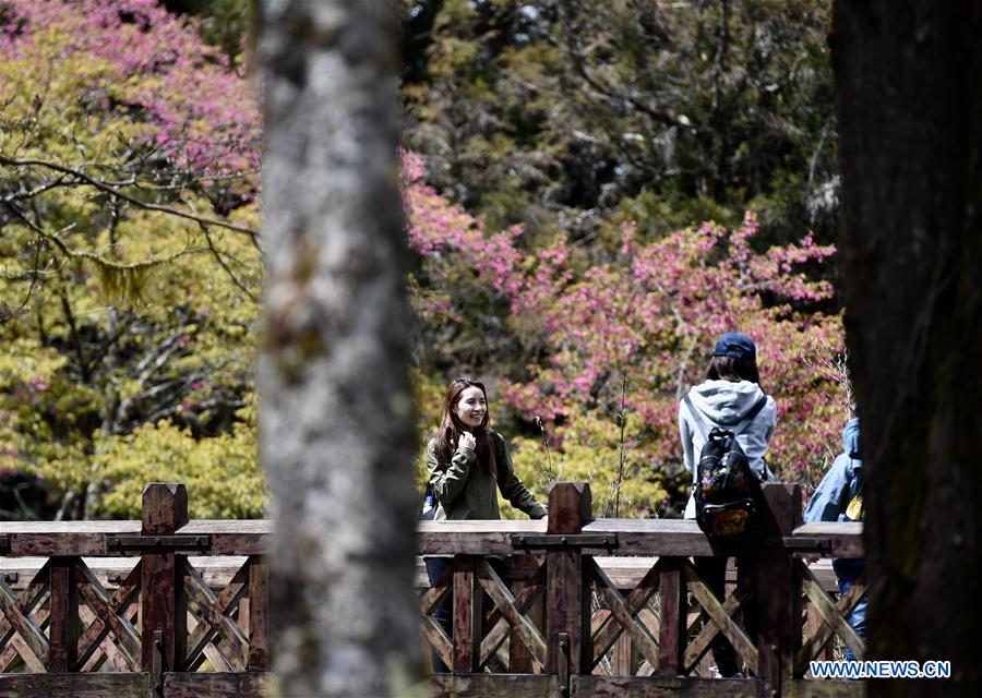 CHINA-ALI MOUNTAIN-SCENERY(CN)