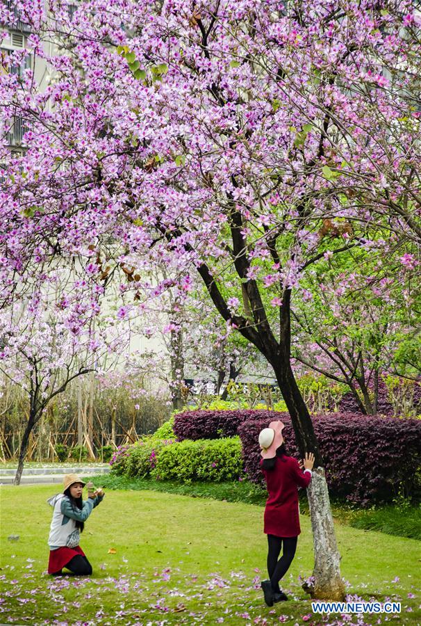 #CHINA-GUANGXI-LIUZHOU-FLOWERS (CN)
