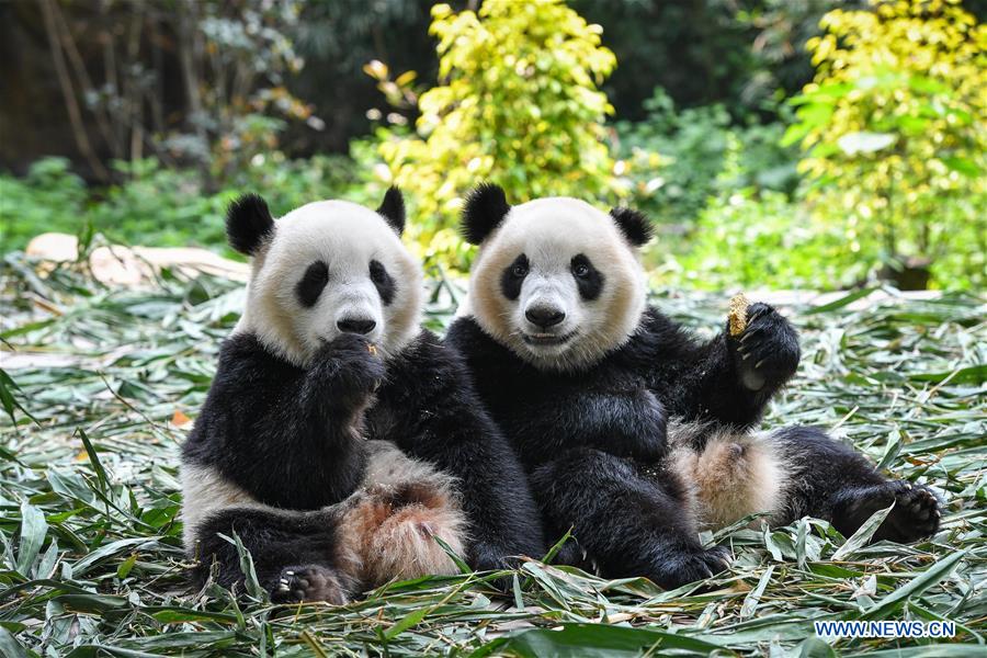 XINHUA PHOTO WEEKLY CHOICES (CN)