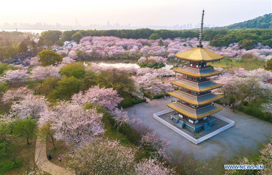 XINHUA PHOTO WEEKLY CHOICES (CN)