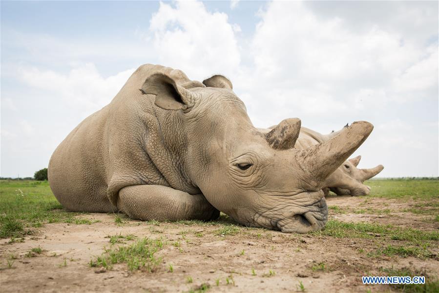 XINHUA PHOTO WEEKLY CHOICES (CN)