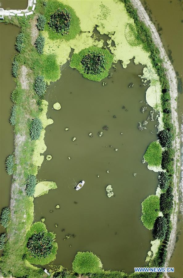 CHINA-ZHEJIANG-AQUACULTURE-WATER PURIFYING (CN)