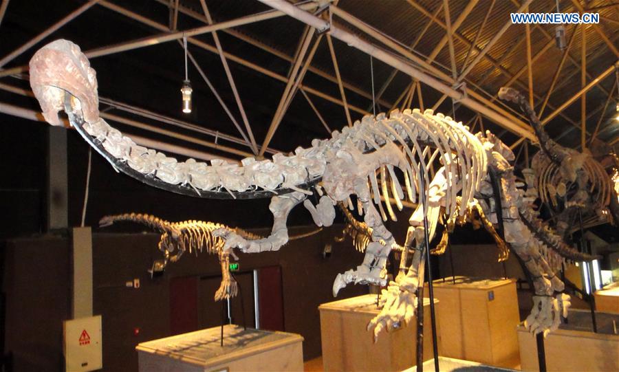 CHINA-YUNNAN-LUFENG-NEW DINOSAUR SPECIES-DISCOVERY (CN)