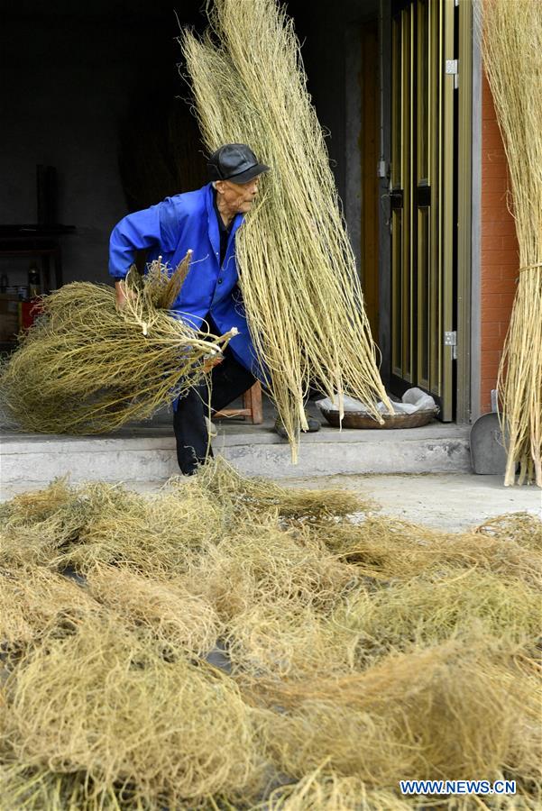 #CHINA-HUBEI-ENSHI-BROOMSTICK-ARTISAN (CN)