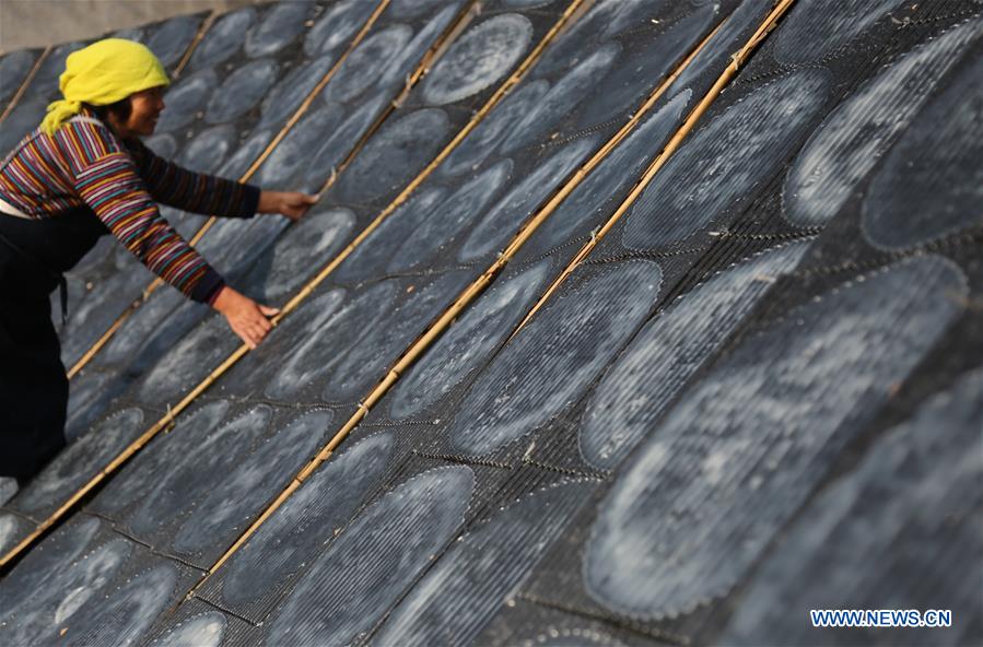 #CHINA-SHANDONG-SWEET POTATO-FOOD (CN)