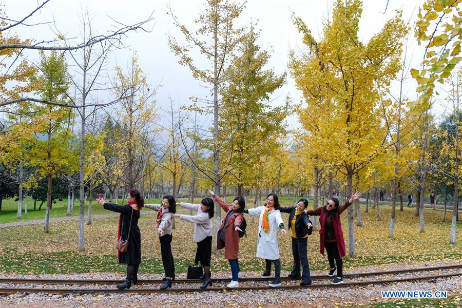 CHINA-ZHEJIANG-CHANGXING-GINKGO-SCENERY (CN)