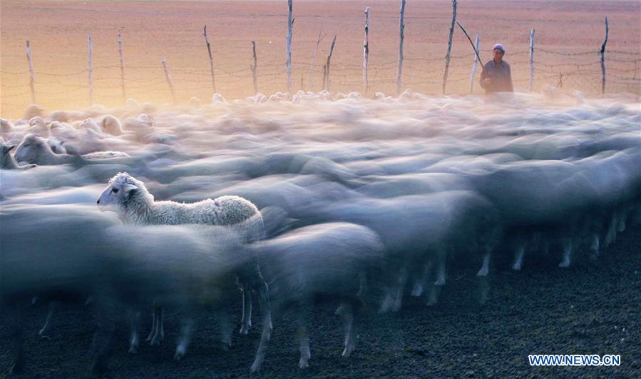 (年終報道)(3)2018年看大美中國