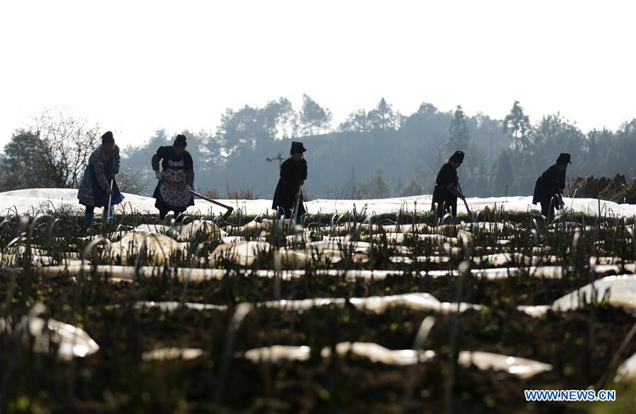 #CHINA-EARLY SPRING-AGRICULTURE (CN)