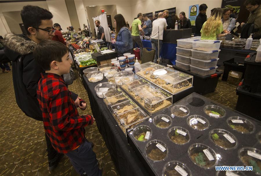 CANADA-TORONTO-REPTILE EXPO