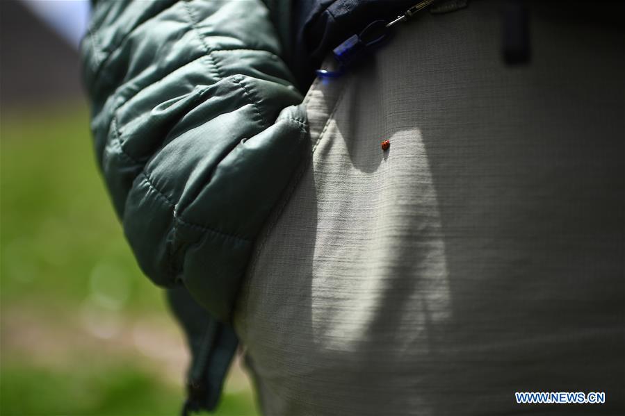 Xinhua Headlines: George Schaller, exploring the beauty of nature on the Qinghai-Tibet Plateau