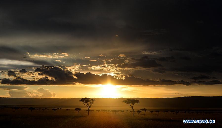 KENYA-ECOLOGY-CHINA-BEIJING-HORTICULTURAL EXPO-KENYA DAY