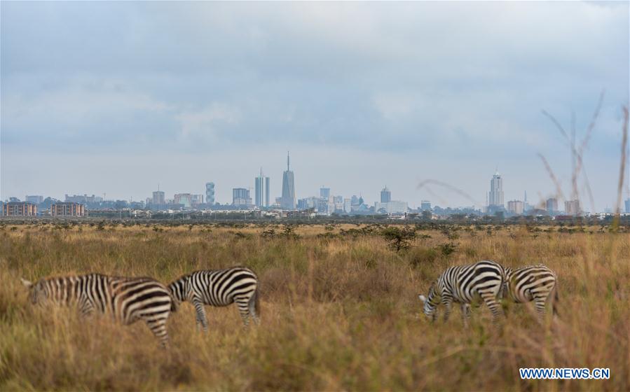 KENYA-ECOLOGY-CHINA-BEIJING-HORTICULTURAL EXPO-KENYA DAY