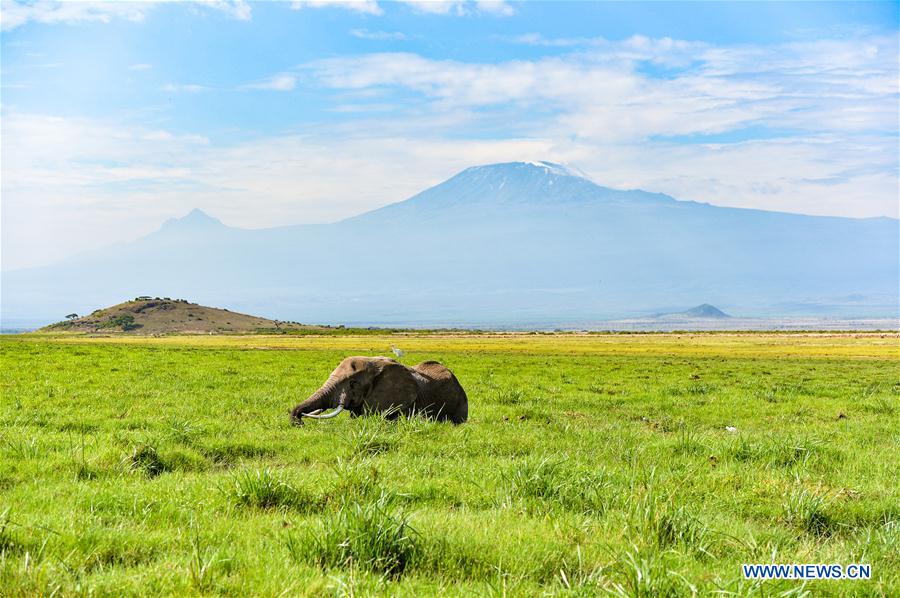 KENYA-ECOLOGY-CHINA-BEIJING-HORTICULTURAL EXPO-KENYA DAY