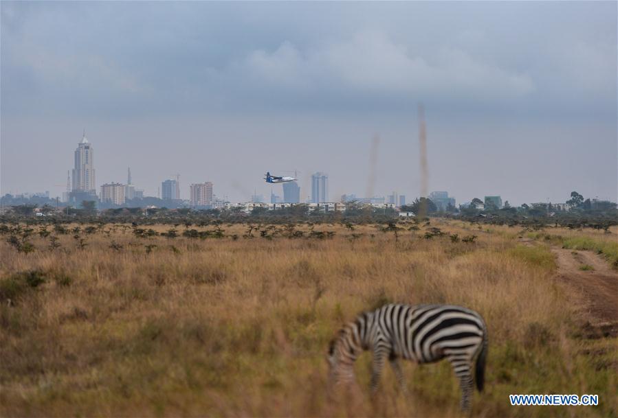 KENYA-ECOLOGY-CHINA-BEIJING-HORTICULTURAL EXPO-KENYA DAY