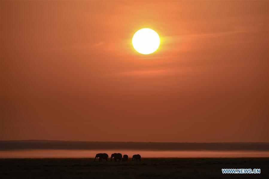 KENYA-ECOLOGY-CHINA-BEIJING-HORTICULTURAL EXPO-KENYA DAY