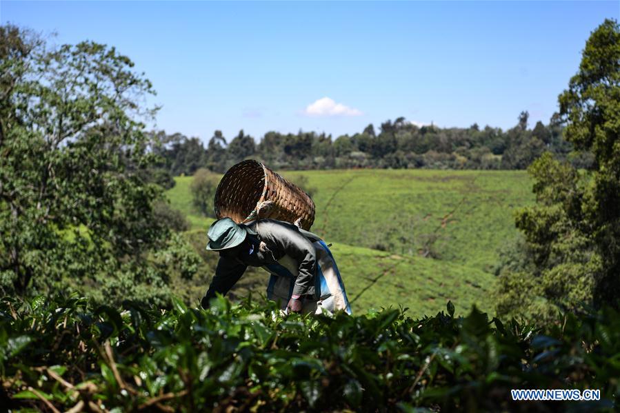 KENYA-ECOLOGY-CHINA-BEIJING-HORTICULTURAL EXPO-KENYA DAY