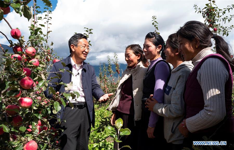(InTibet) CHINA-TIBET-NYINGCHI-APPLE CULTIVATION PROFESSOR (CN)