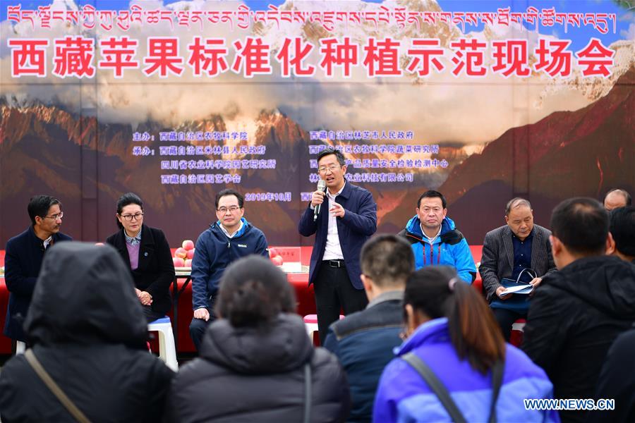 (InTibet) CHINA-TIBET-NYINGCHI-APPLE CULTIVATION PROFESSOR (CN)