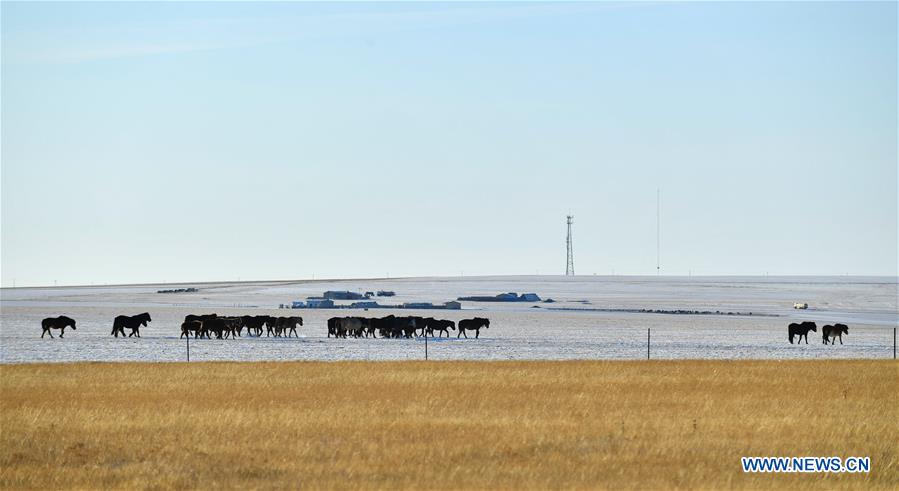 CHINA-INNER MONGOLIA-HULUN BUIR-WINTER (CN)