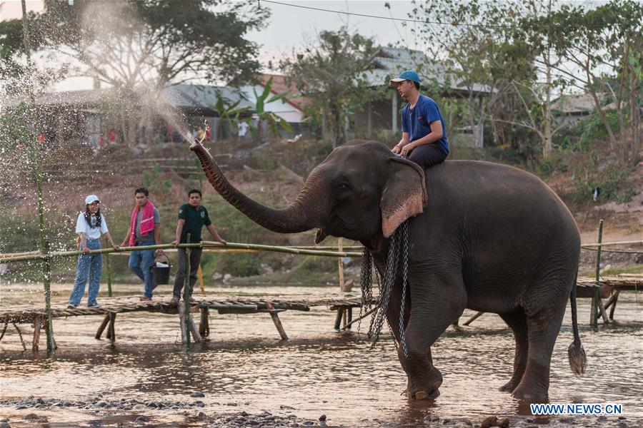 LAOS-XAYABOURY-ELEPHANT-FESTIVAL