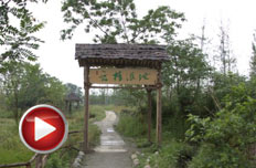 讓夢(mèng)想照進(jìn)濕地