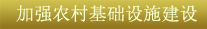 關鍵字4:加強農村基礎設施建設