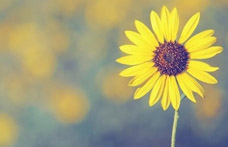 抗癌協(xié)會(huì):對(duì)“癌癥性格”說(shuō)“不”