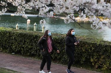 羅馬:疫情下的春天