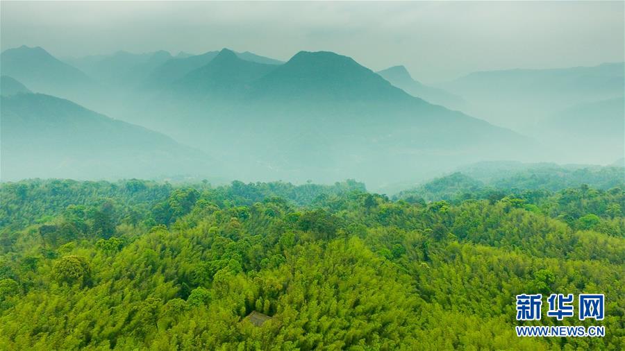 （新華全媒頭條·圖文互動）（9）赤水：別了，貧困！