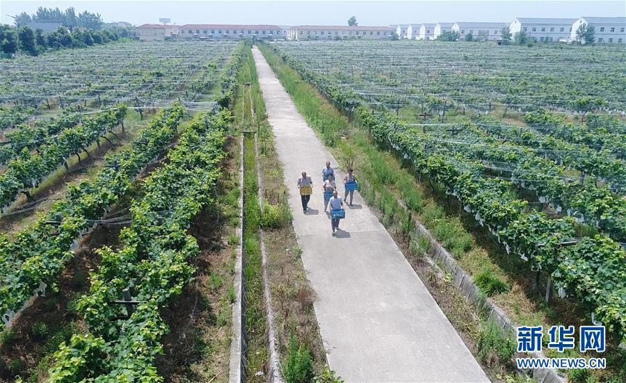 (新華全媒頭條·紀念改革開放40年特稿·圖文互動)(5)向著新航程揚帆奮進!——從小崗精神看中國改革開放40年