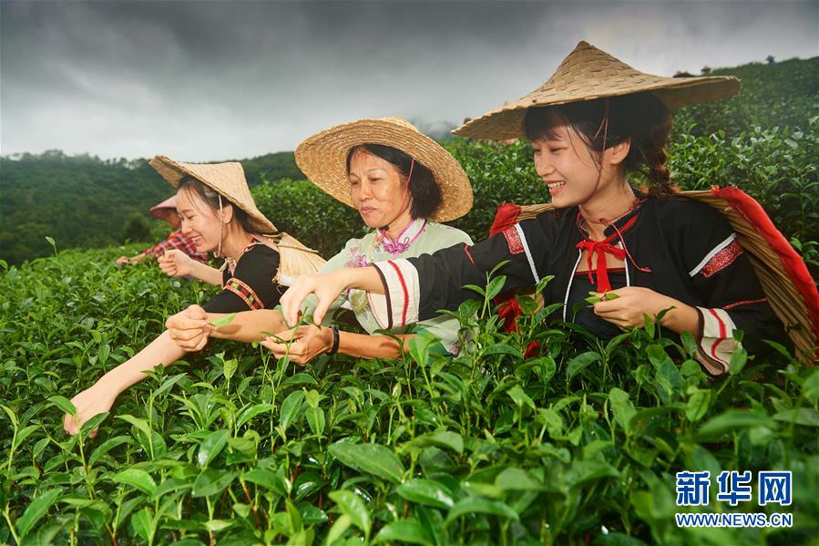 (新華全媒頭條·潮起海之南·圖文互動)(7)春潮拍岸千帆進——海南特區改革開放30年紀實