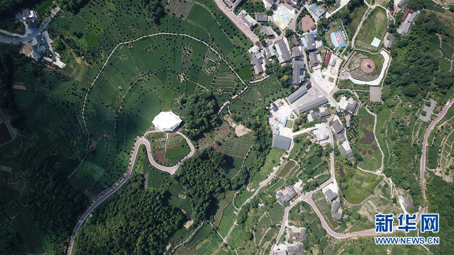 (大江奔流——來自長江經(jīng)濟帶的報道·圖文互動)(1)在這里,做一個幸福的農(nóng)民