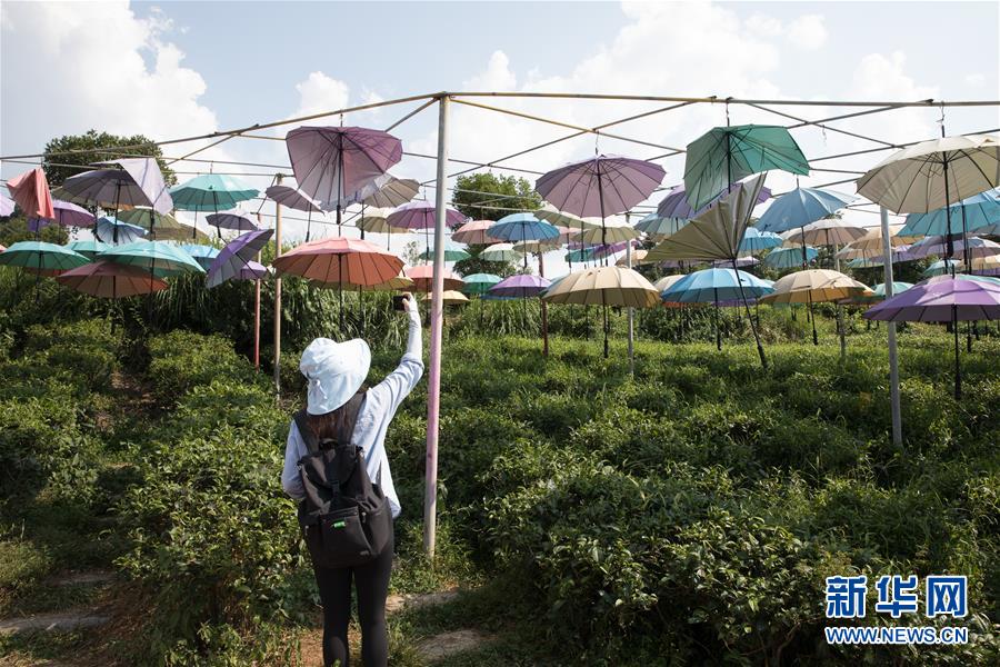 (大江奔流——來自長江經(jīng)濟帶的報道·圖文互動)(4)在這里,做一個幸福的農(nóng)民