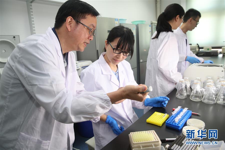 (新華全媒頭條·圖文互動)(1)人造單條染色體真核細胞問世 我國開啟合成生物學(xué)研究新時代