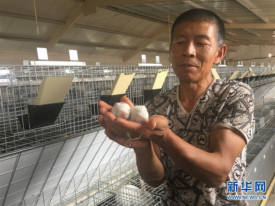 (新華全媒頭條·在習近平新時代中國特色社會主義思想指引下——新時代新作為新篇章·圖文互動)(10)綠富同興畫卷在沙海中鋪展——庫布其沙漠生態治理紀實