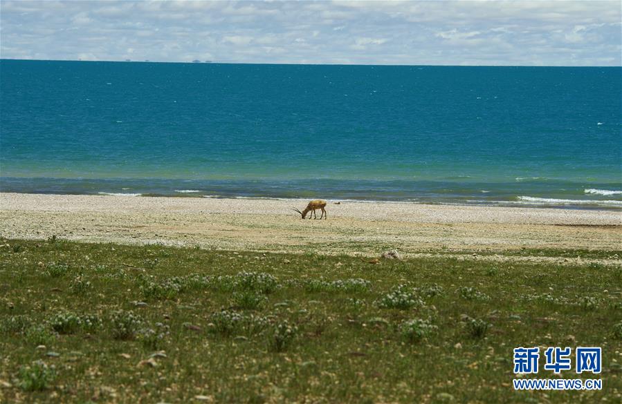(新華全媒頭條·圖文互動)(6)正在破譯的“青藏密碼”——第二次青藏高原綜合科考首期成果發(fā)布