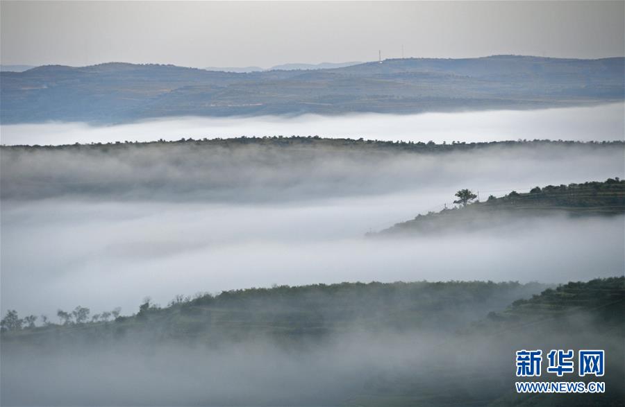 (新華全媒頭條·圖文互動)(12)中國扶貧的西海固答卷——寧夏奮進60年巡禮之脫貧攻堅篇