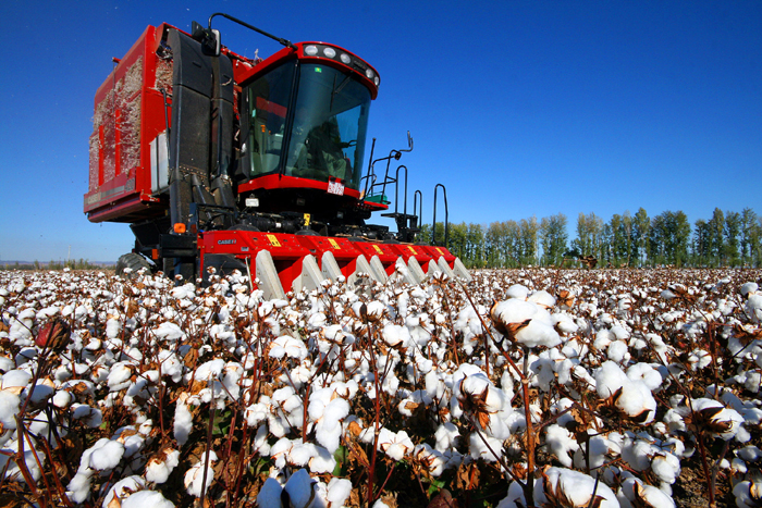 秋收的中國,你想象不到的美!但更美的是……