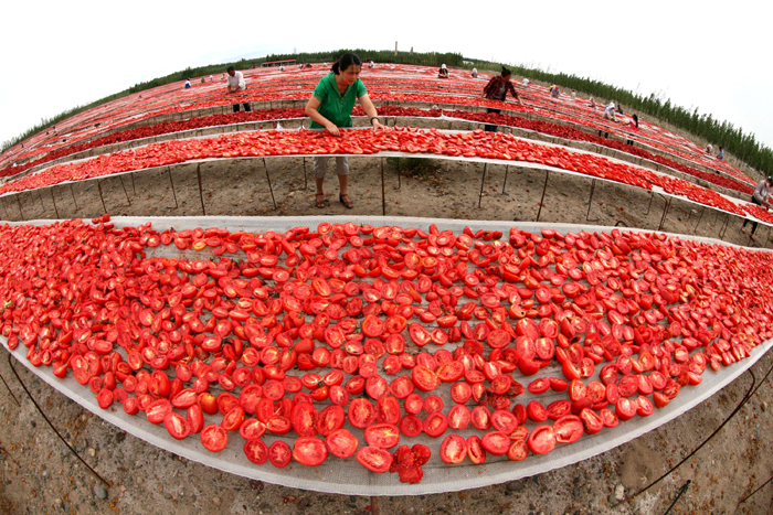 秋收的中國,你想象不到的美!但更美的是……