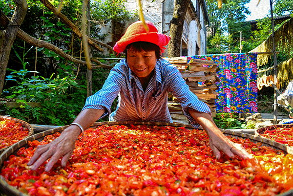 秋收的中國,你想象不到的美!但更美的是……