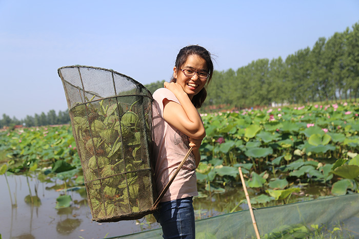 秋收的中國,你想象不到的美!但更美的是……