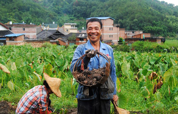 秋收的中國,你想象不到的美!但更美的是……