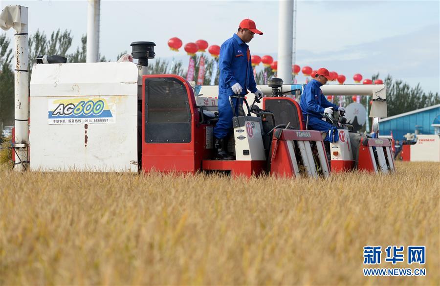 (新華全媒頭條·圖文互動(dòng))(9)最年輕的節(jié)日 最悠久的牽念——寫給首個(gè)中國農(nóng)民豐收節(jié)