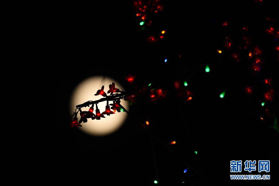 #（環境）（7）明月照中秋