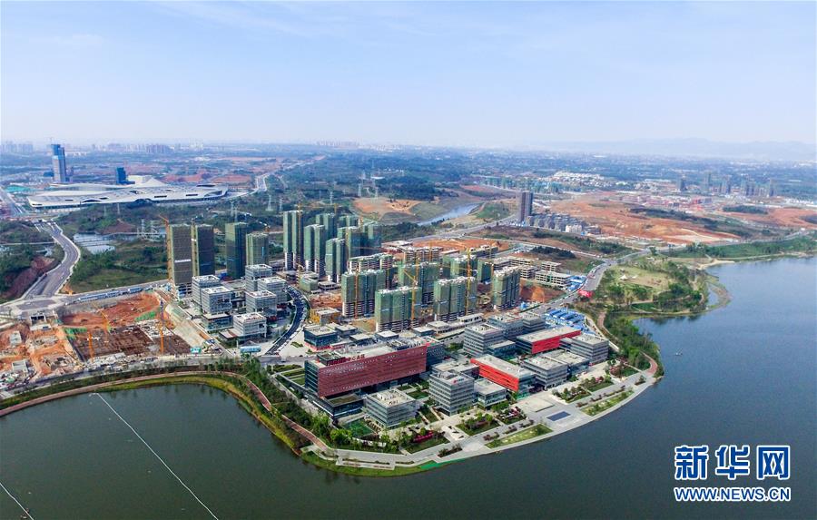 (新華全媒頭條·圖文互動)(12)從一個到一群 量變引發質變——上海自貿區五周年回眸